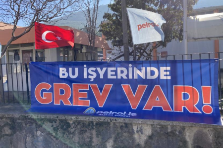 DEM Partili Konukçu, Temel Conta işçilerinin grevini Meclise taşıdı