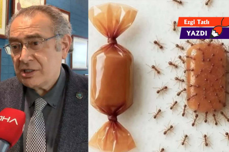 Rektör Nevzat Tarhan’ın sözleri şiddeti meşrulaştırıyor
