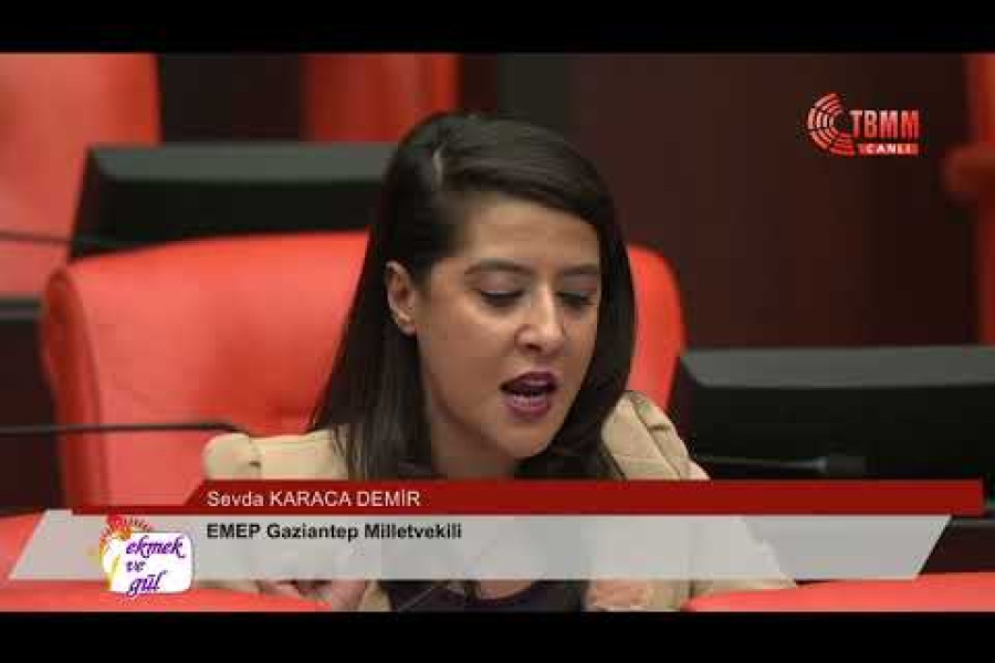EMEP Milletvekili Sevda Karaca: 'Kimi koruyorsunuz?'