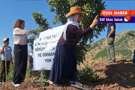 Lice’de doğa talanına karşı çıkan köylüler: ‘Madenin bizi yutmasına izin vermeyeceğiz’