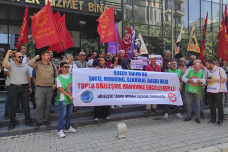 Queen Tarım 'da sendikal yetki davası: 'Bu dava örgütlülüğümüzü dağıtma davasıdır'