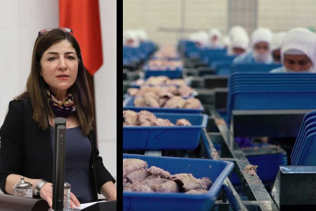 Züleyha Gülüm Çalışma Bakanı’na sordu: Dardanel’de yaşananlardan haberdar mısınız?