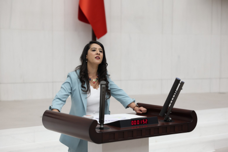 Sevda Karaca: 'Şiddet mağduru Melek Ertekin neden korunmuyor?'