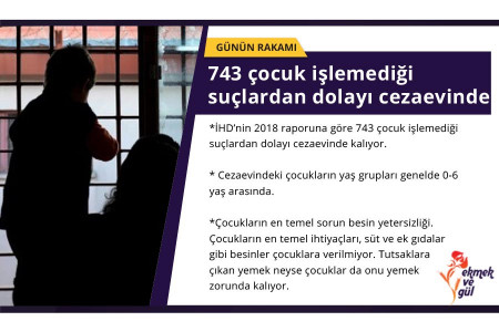 GÜNÜN RAKAMI: 743 çocuk işlemediği suçlardan dolayı cezaevinde