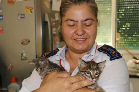 GÜNÜN GÜZELİ: Engelli ve felçli kedilerini işe götürüyor