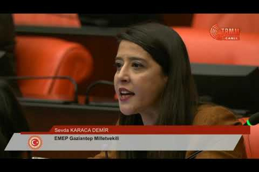 Karaca, kadın haklarına dönük saldırıları Meclise taşıdı