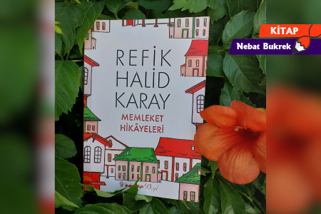 Bir kitap: Memleket Hikayeleri