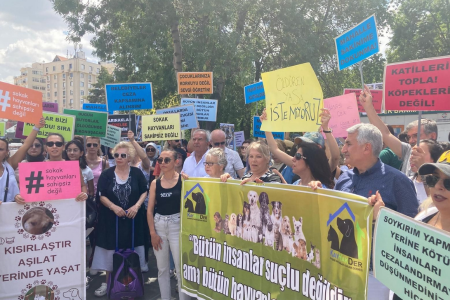 Kışkırtılan öfkenin hedefinde kadınlar