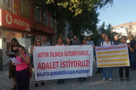 Malatya Demokratik Kadın Platformu: Samanköy ve Hekimhan'daki kadınlar neden korunamadı?