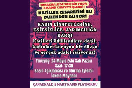 Çanakkale 8 Mart Kadın Platformu kadın cinayetlerine karşı yürüyecek
