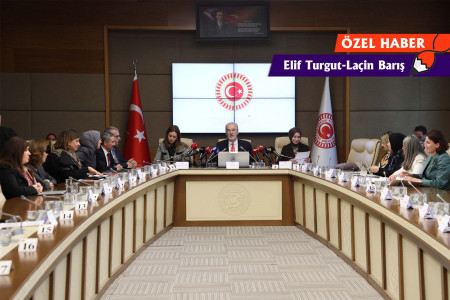 Kadına şiddeti araştırma komisyonu raporunda 'aile yılı' izi: Şiddeti ‘aile bütünlüğüyle’ perdeliyorlar